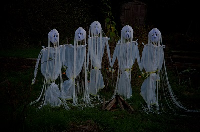 Allotments Halloween