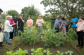 Northfields Allotments