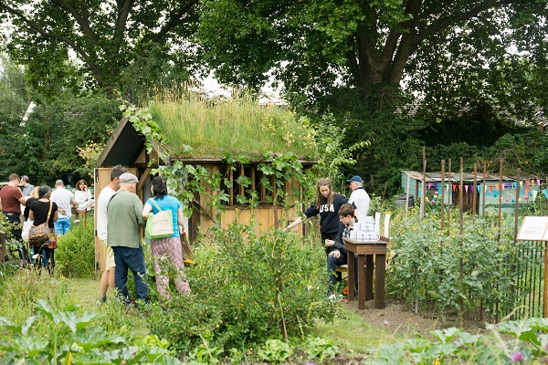 Northfields Allotments