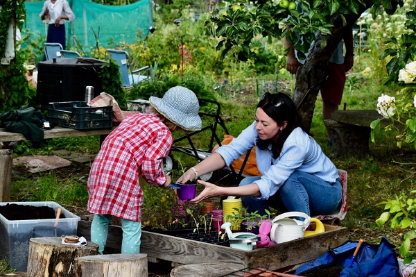 allotments - Liz Jenner