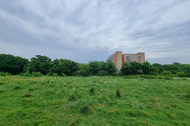 The view across the green space without the proposed development 