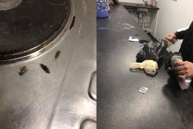Pictures taken by resident showing cockroaches and drugs found at Marston Court 
