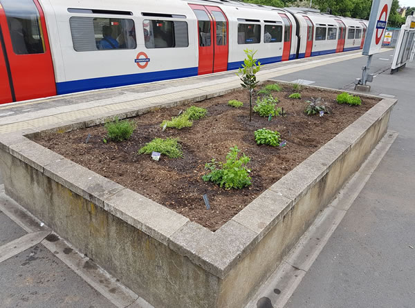 Northfields Herb Garden