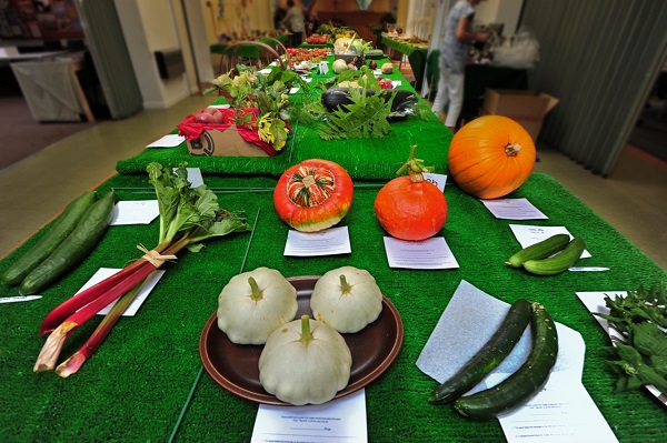 Allotment show St Mary's - photo by Mark Kehoe