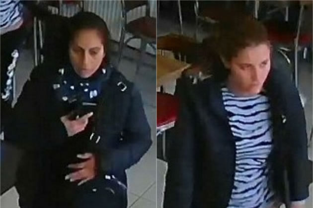 Two Women Sought After Northolt Burglary