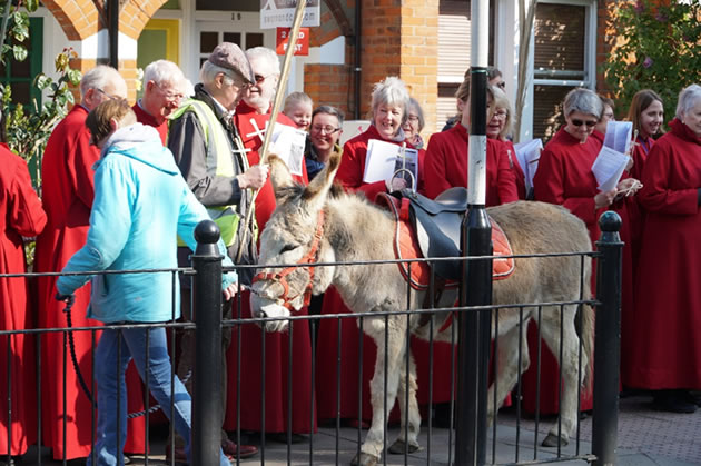 Donkey Makes an Appearance on Pitshanger Lane