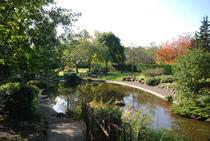 The pond in Walpole Park will under major restoration.