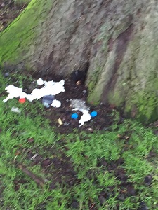 human waste at travellers site